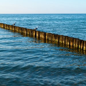 Buhne...... Werner Schuffenhauer